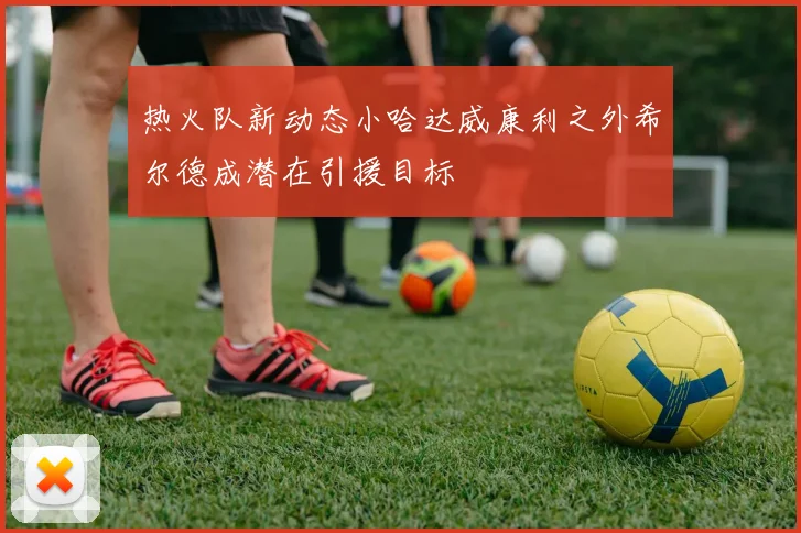 热火队新动态小哈达威康利之外希尔德成潜在引援目标